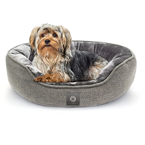 MICRODRY Weiches und gemütliches, rundes Hundebett, 45.7x61x17.8 cm, perfekt für kleine bis mittelgroße Katzen und Hunde, maschinenwaschbar und rutschfeste Unterseite, Dunkelgrau von Microdry