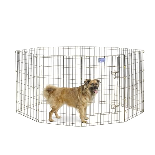 MidWest Homes for Pets 544-36 Hunde-Laufstall, Haustier-Spielgehege, faltbar, Metall, mit Tür, 61 x 91 cm, goldfarben verzinkt von MidWest Homes for Pets