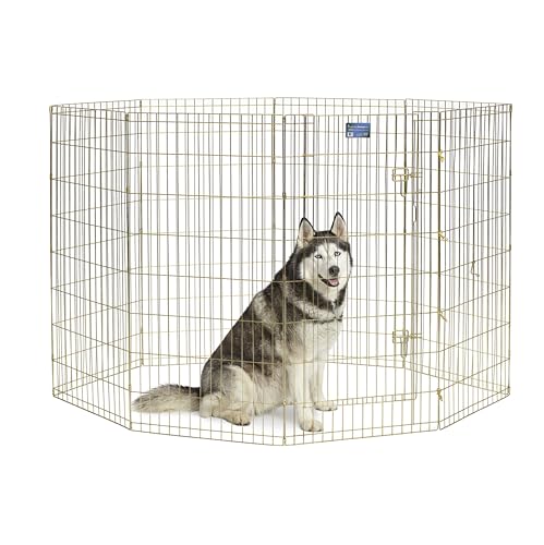 MidWest Homes for Pets 548-48 Hunde-Laufstall, Haustier-Spielgehege, faltbar, Metall, mit Tür, 61 x 122 cm, goldfarben verzinkt MidWest Homes for Pets 548-48 Hunde-Laufstall, Haustier-Spielgehege, faltbar, Metall, mit Tür, 61 x 122 cm, goldfarben verzinkt von MidWest Homes for Pets