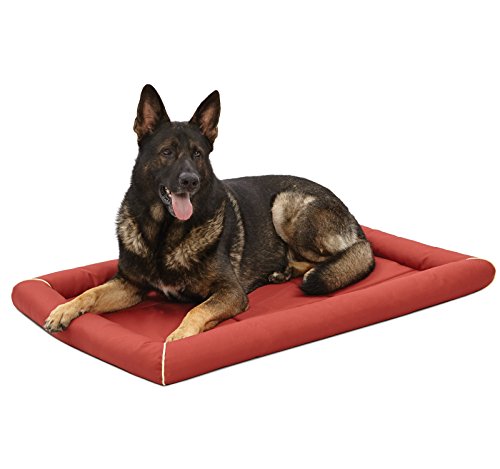 MidWest Homes for Pets Maxx Modell 40548-BR Hundebett für Metall-Hundeboxen, 122 cm, Ziegelrot von MidWest Homes for Pets