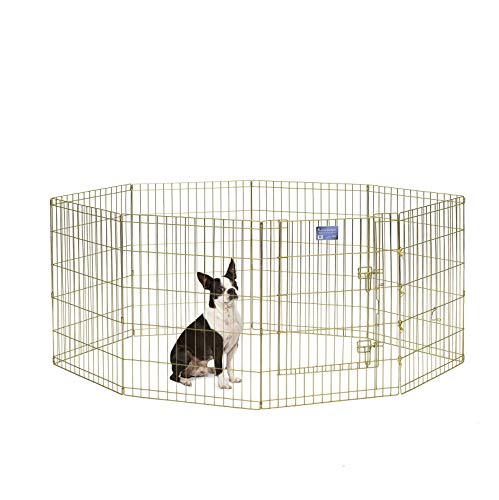 MidWest Homes for Pets 542-30 Hunde-Laufstall, Haustier-Spielgehege, faltbar, Metall, mit Tür, 61 x 76 cm, goldfarben verzinkt von MidWest Homes for Pets