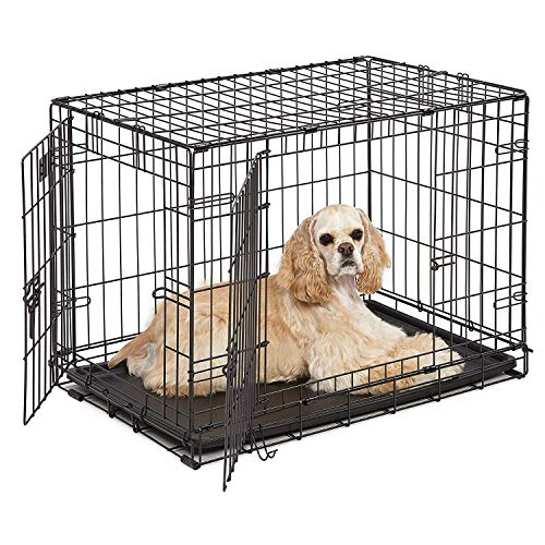 MidWest Homes for Pets iCrate Modell 1530 Hundebox, ca. 76 cm lang, mit Doppeltür, auslaufsicherer Bodenwanne, Bodenschutzfüßen, Trenneinsatz und patentierten Funktionen, schwarz von MidWest Homes for Pets