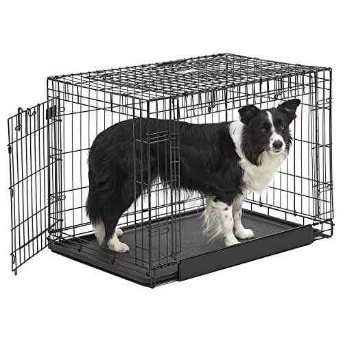 MidWest Homes for Pets Ovation Modell 1936DD Hundebox, mittelgroß, Einzeltür, faltbar, Metall, 91 cm lang, mit Trenneinsatz, Bodenschutz, auslaufsicherer Wanne, für mittelgroße Hunde, schwarz von MidWest Homes for Pets