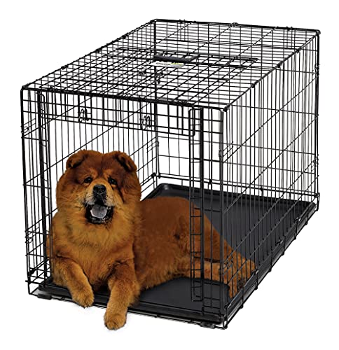 MidWest Homes for Pets Ovation Modell 1936 Hundebox, mittelgroß, Einzeltür, faltbar, Metall, 91 cm lang, mit Trenneinsatz, Bodenschutz, auslaufsicherer Wanne, für größere Hunderassen, schwarz von MidWest Homes for Pets