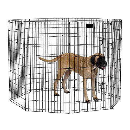 Midwest Homes Laufstall für Hunde, faltbar, Metall, 61 x 122 cm, Schwarz Midwest Homes Laufstall für Hunde, faltbar, Metall, 61 x 122 cm, Schwarz von MidWest Homes for Pets