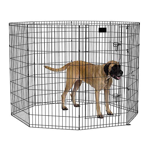 Midwest Homes Laufstall für Hunde, faltbar, Metall, 61 x 122 cm, Schwarz von MidWest Homes for Pets