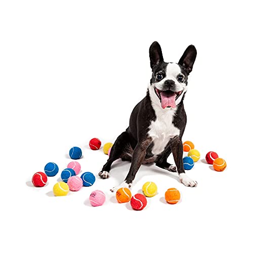 2 Hundespielzeug Ball，Naturgummi mit Minzgeschmack Hund Feeder Ball，Trainingszahn Intelligenzspielzeug für Hunde Ball mit Zahnreinigung Spielzeug von Midlee