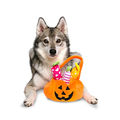 Midlee Finden Sie EIN Spielzeug Halloween Kürbis Eimer Hundespielzeug von Midlee