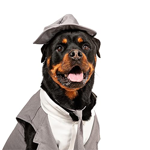 Midlee Hundesmoking-Hochzeitsanzug Hundekostüm, Zylinderhut und Leine, Grau (XXL) von Midlee