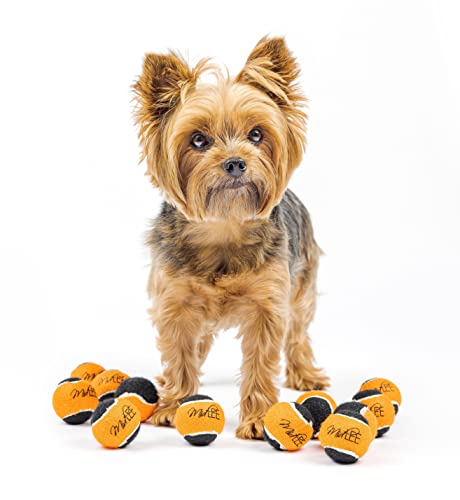 Midlee Mini-Hunde-Tennisbälle für Halloween, Orange/Schwarz, 12 Stück von Midlee