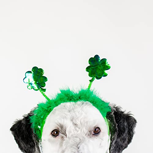 St Patrick's Day Hunde-Stirnband von Midlee