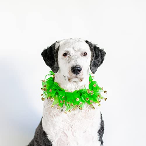 St. Patrick's Day Hundehalsband, Kleeblatt, Größe L von Midlee