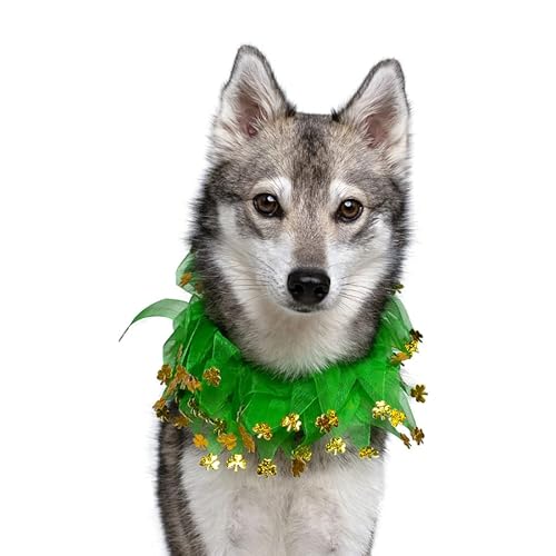 St. Patrick's Day Hundehalsband, Kleeblatt, klein von Midlee