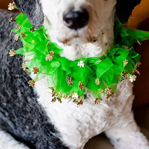 St. Patrick's Day Hundehalsband, Kleeblatt Halsband, Größe XL von Midlee