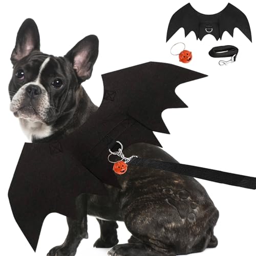 Hunde-Fledermausflügel-Kostüm, Halloween-Kostüm, 3-teilig, lustige Katzen-/Hundeflügel mit Leine, Kürbis, Glöckchen, Cosplay, Fledermauskleidung für kleine, mittelgroße und große Hunde, Welpen, von Midufrry