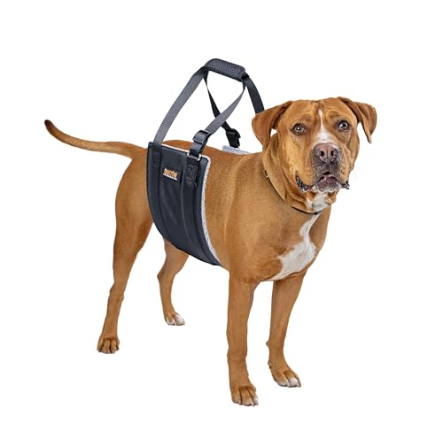 Mighty Paw Dog Lift Harness | Hundeschlinge für große Hunde Hinterbeinstütze – erleichtert das Anheben der Hinterbeine von größeren Hunden – unterstützt bequem die Hinterbeine – Hüft- und von Mighty Paw