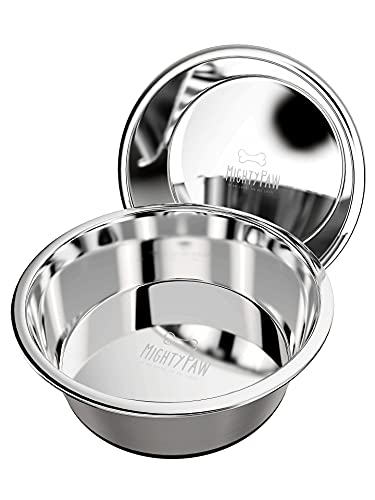 Mighty Paw Hundenapf aus Edelstahl (2 Stück),rutschfeste Gummiunterseite und kein Verschütten,Futter- und Wassernapf aus Metall für kleine und große Haustiere, 6 und 8 Tassen (3 Tassen, grau) von Mighty Paw