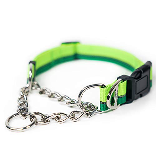 Mighty Paw Martingale Hundehalsband 2.0 | Trainer Approved Limited Slip Collar with Stainless Steel Chain & Heavy Duty Buckle - Modified Cinch Collar for Gentle & Effective Pet Training - Small, Green von Mighty Paw