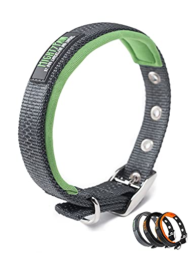 Mighty Paw Ultraweiches Hundehalsband | Gepolstertes Komfort-Haustierhalsband mit Neoprenfutter Hergestellt mit gut sichtbarem, reflektierendem Faden und wetterfestem Nylon Passend für kleine, mittelgroße und große Rassen von Mighty Paw