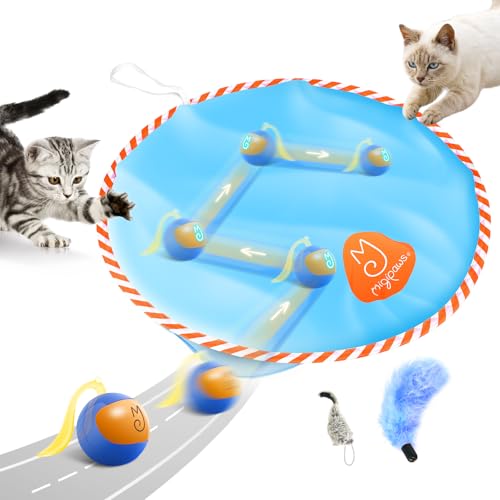 Migipaws Interaktives Katzenspielzeug-Set, Fun Tracker, elektrisch beweglicher Ball versteckt Sich im Beutel,Jagenspaß genießen (blau) von Migipaws