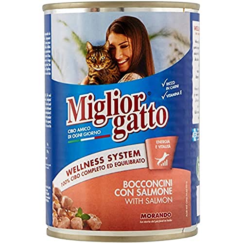 Best orgatto - Leckerbissen mit Lachs, mit Vitaminen und Mineralsalzen - 24 Stück à 405 g [9720 g] von Miglior Gatto