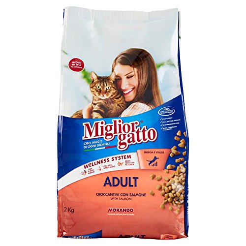 MIGLIOR GATTO 2Kg.Dry Lachs Katzenfutter von Migliorgatto