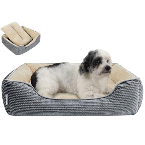 Miguel Pet Bed 2309252 von Miguel