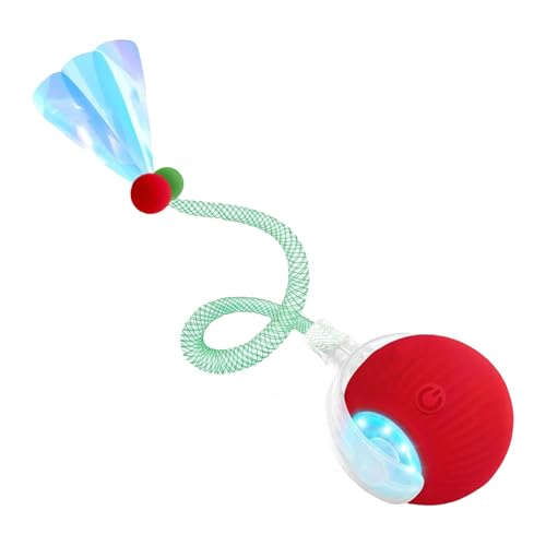 Mihauuke Katzenball Spielzeug - Intelligente Automatische Katzenspielzeuge Mit Elastischem Netzschwanz - Elektrisches Katzenspiel Zur Geistigen Förderung Bewegung Und Trainingsspiele Mihauuke Katzenball Spielzeug - Intelligente Automatische Katzenspielzeuge Mit Elastischem Netzschwanz - Elektrisches Katzenspiel Zur Geistigen Förderung Bewegung Und Trainingsspiele von Mihauuke