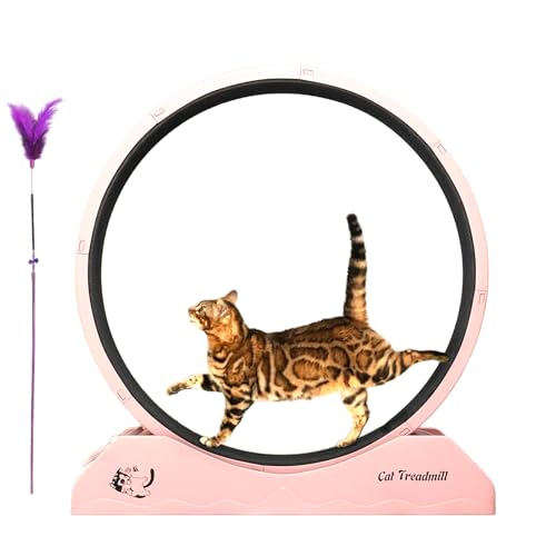 Mihauuke Katzenlaufrad,Fitnesslaufrad Für Kätzchen - Sicheres Indoor Laufrad Für Hauskatzen Mihauuke Katzenlaufrad,Fitnesslaufrad Für Kätzchen - Sicheres Indoor Laufrad Für Hauskatzen von Mihauuke