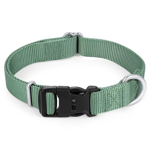 Mikivery Hundehalsband aus Nylon mit Schnellverschluss-Schnalle, weich, verstellbar, stabil, für kleine, mittelgroße und große Hunde, Smaragd, Größe L von Mikivery