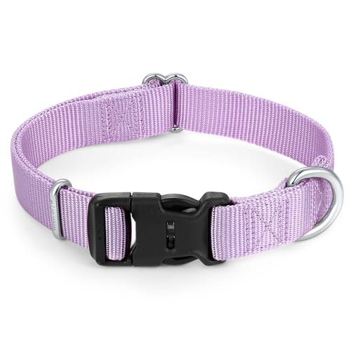 Mikivery Hundehalsband aus Nylon mit Schnellverschluss-Schnalle, weich, verstellbar, stabil, für kleine, mittelgroße und große Hunde, Violett, Größe L von Mikivery