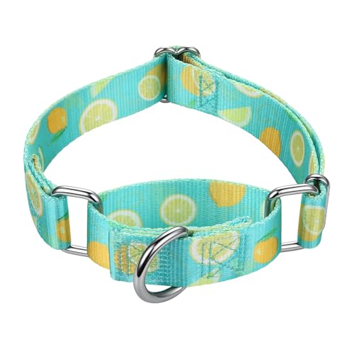 Mikivery Martingale-Halsband, 2,5 cm, zum An- und Ausziehen, keine Schnalle, strafft sanft mittelgroße und große Halsbänder von Mikivery