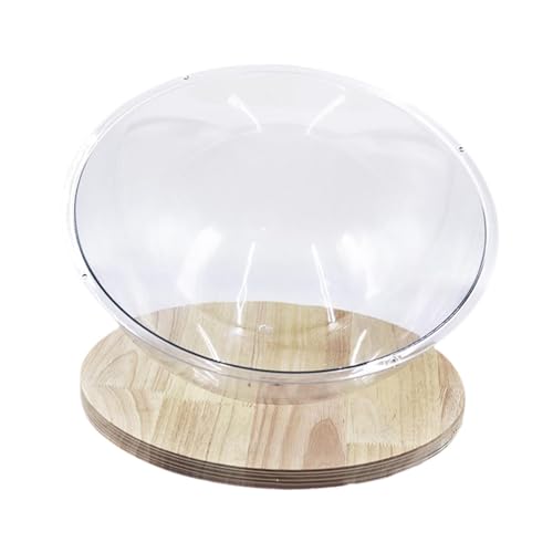 Milageto Transparentes Katzenbett in Kapselform, Nest, Zwinger, Aktivitätszentrum, universell einsetzbar, leicht zu reinigen, Schlafnest aus Acryl für Kätzchen, 35CM von Milageto