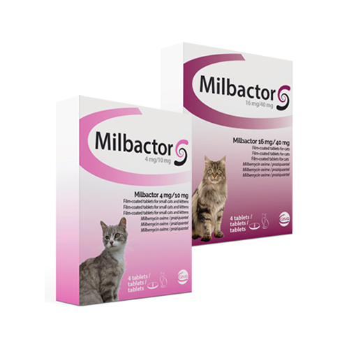 Milbactor Kitten und kleine Katzen - 4 Tabletten von Milbactor