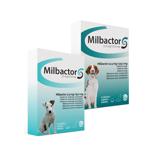 Milbactor für große Hunde - 4 Tabletten von Milbactor