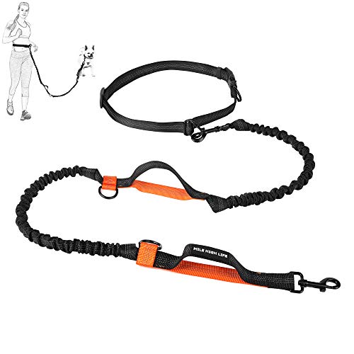 Mile High Life Einziehbare Hände frei Hundeleine Taille Laufen einstellbar Reflektierender Bungee Doppelgriffe(Orange) von Mile High Life