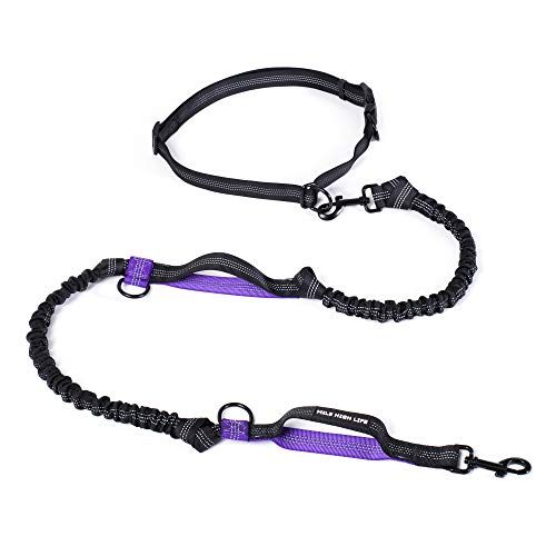 Mile High Life Einziehbare Hände frei Hundeleine Taille Laufen einstellbar Reflektierender Bungee Doppelgriffe(Purple) von Mile High Life