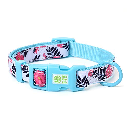 Mile High Life | Frühling Floral Kollektion | Weiches Poly-Baumwoll-Gewebe | Weibliche Hundehalsbänder | Schleifenhalsband | Bandana von Mile High Life