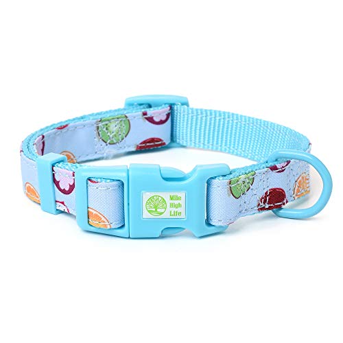 Mile High Life | Frühling Floral Kollektion | Weiches Poly-Baumwoll-Gewebe | Weibliche Hundehalsbänder | Schleifenhalsband | Bandana von Mile High Life