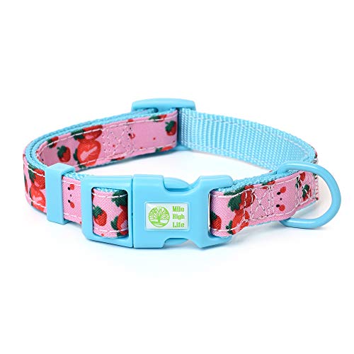 Mile High Life | Frühling Floral Kollektion | Weiches Poly-Baumwoll-Gewebe | Weibliche Hundehalsbänder | Schleifenhalsband | Bandana von Mile High Life