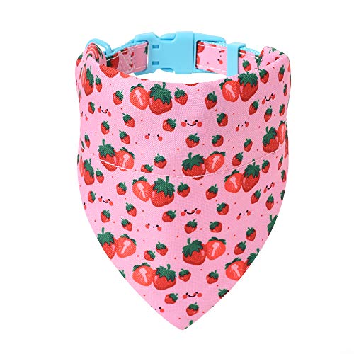 Mile High Life | Frühling Floral Kollektion | Weiches Poly-Baumwoll-Gewebe | Weibliche Hundehalsbänder | Schleifenhalsband | Bandana von Mile High Life