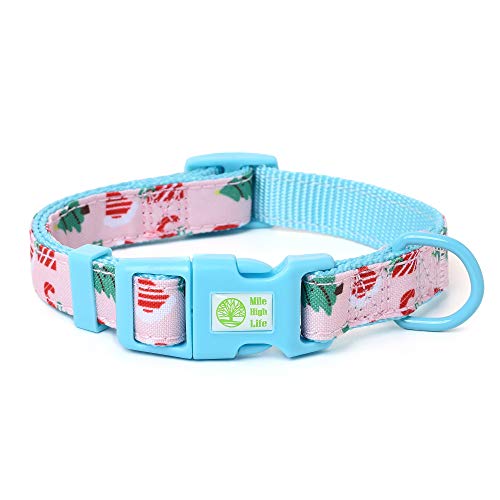 Mile High Life | Frühling Floral Kollektion | Weiches Poly-Baumwoll-Gewebe | Weibliche Hundehalsbänder | Schleifenhalsband | Bandana von Mile High Life