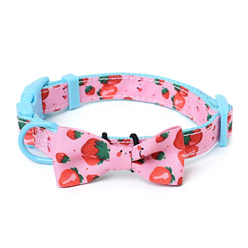 Mile High Life | Frühling Floral Kollektion | Weiches Poly-Baumwoll-Gewebe | Weibliche Hundehalsbänder | Schleifenhalsband | Bandana von Mile High Life