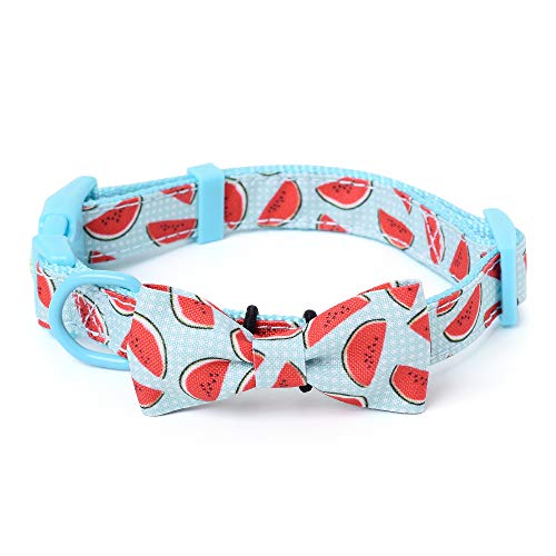 Mile High Life | Frühling Floral Kollektion | Weiches Poly-Baumwoll-Gewebe | Weibliche Hundehalsbänder | Schleifenhalsband | Bandana von Mile High Life