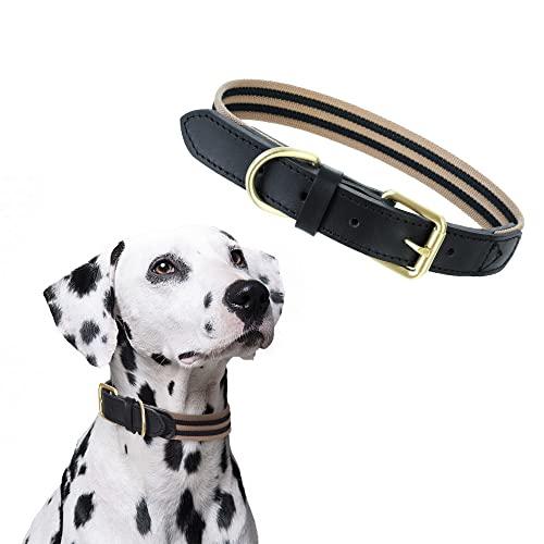 Mile High Life | Hundehalsband aus echtem Leder | Strapazierfähiges Canvas-Hundehalsband mit verstellbarer, rostfreier Metall-Dornschnalle | Jungen-Hundehalsband für mittelgroße Hunde (Dornschnalle, von Mile High Life