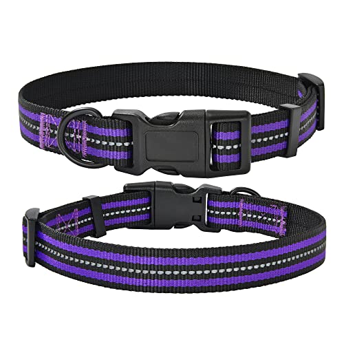 Mile High Life Night Reflektierendes Doppelband Nylon Hundehalsband (Lila, Größe L) (1 Stück) von Mile High Life