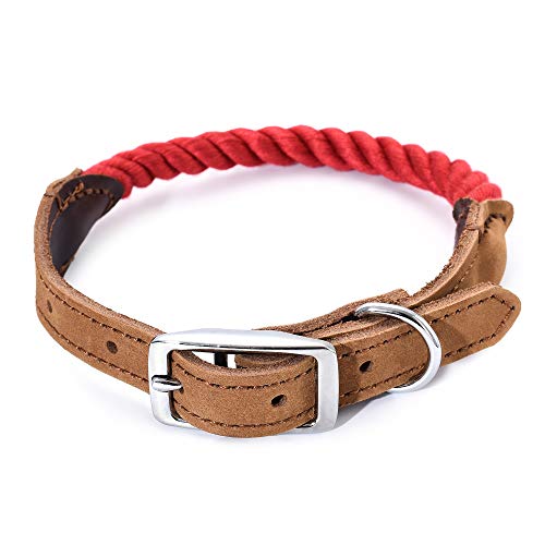 Mile High Life Premium Baumwollseil Hundehalsband aus echtem Leder Edelstahl Schnallenring (M, rot) von Mile High Life