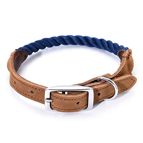 Mile High Life Premium Baumwollseil Hundehalsband aus echtem Leder Edelstahl Schnallenring (S, Marine) von Mile High Life