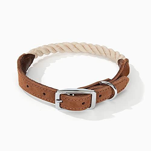 Mile High Life Premium Baumwollseil Hundehalsband aus echtem Leder Edelstahl Schnallenring (L, Beige) von Mile High Life