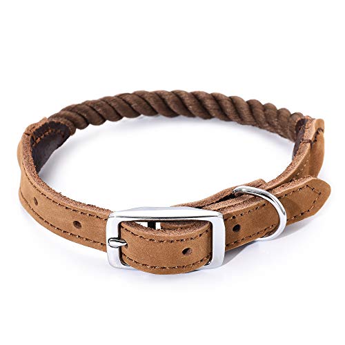 Mile High Life Premium Baumwollseil Hundehalsband aus echtem Leder Edelstahl Schnallenring (M, Dunkelbraun) von Mile High Life